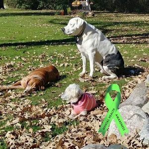 Meet your Posher, Jacki